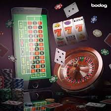 7d casino