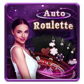 7d casino